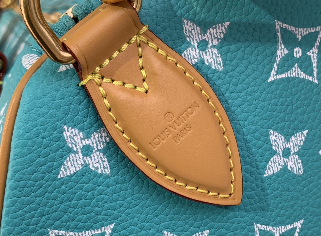 【SPEEDY BANDOULIÈRE30 手袋 】M21108湖水蓝(全皮)本款 Speedy Ban