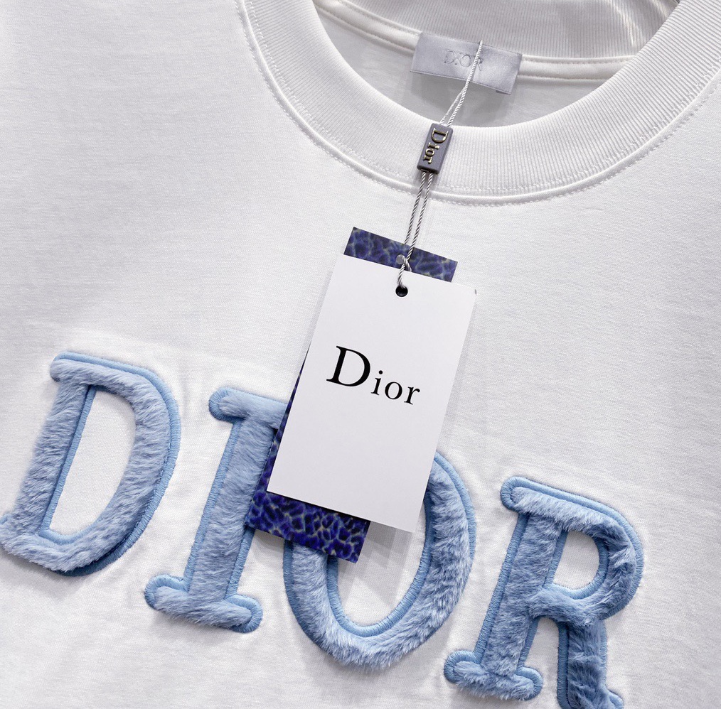 迪奥/Dior 夏季新款 植绒刺绣字母圆领短袖T恤 简约品牌刺绣字母植毛logo设计标识
