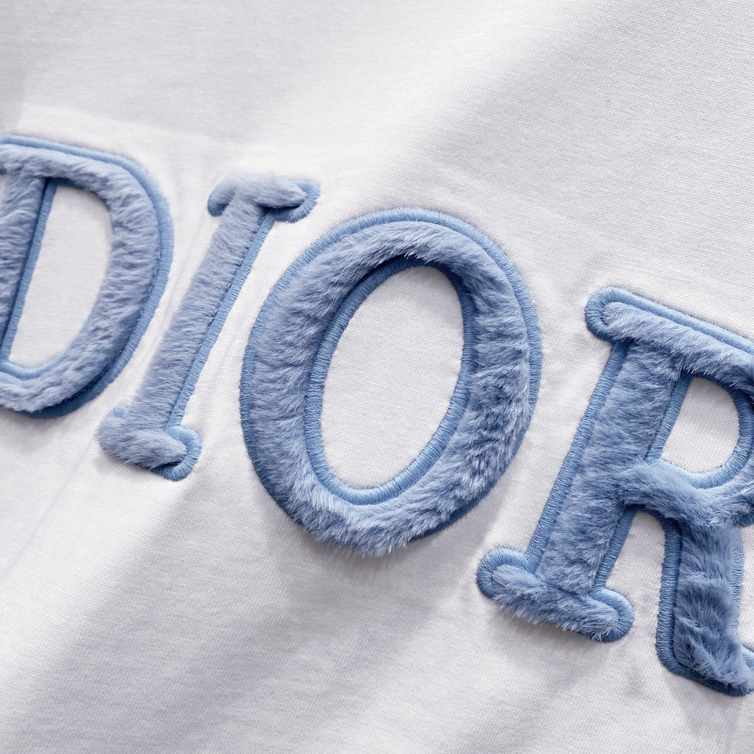 迪奥/Dior 夏季新款 植绒刺绣字母圆领短袖T恤 简约品牌刺绣字母植毛logo设计标识