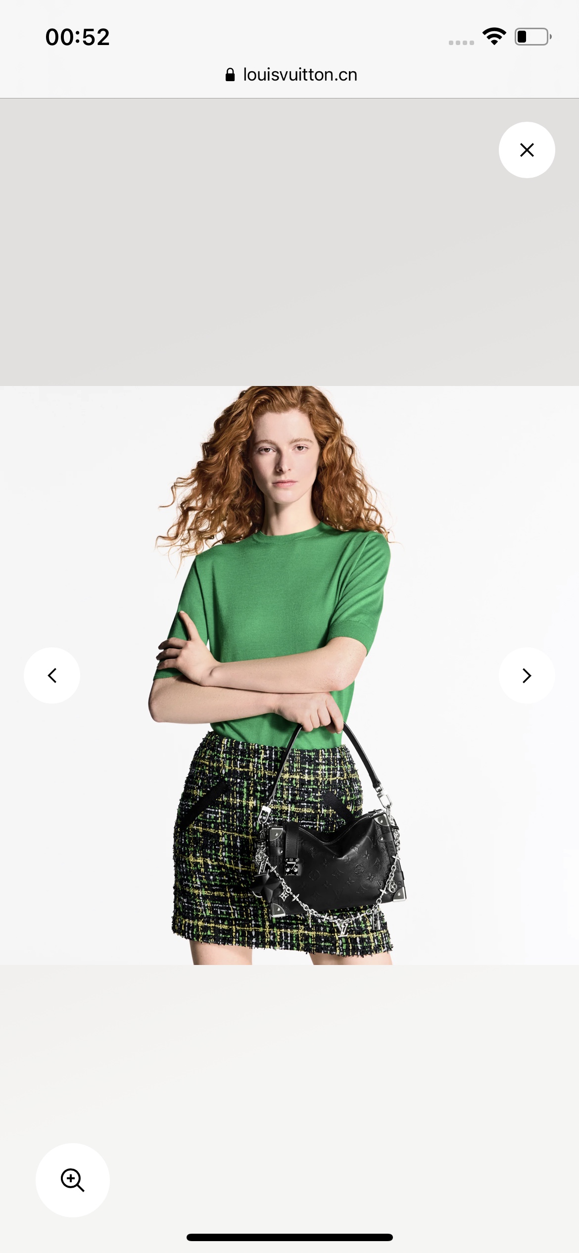 SIDE TRUNK  手袋lv,包 6