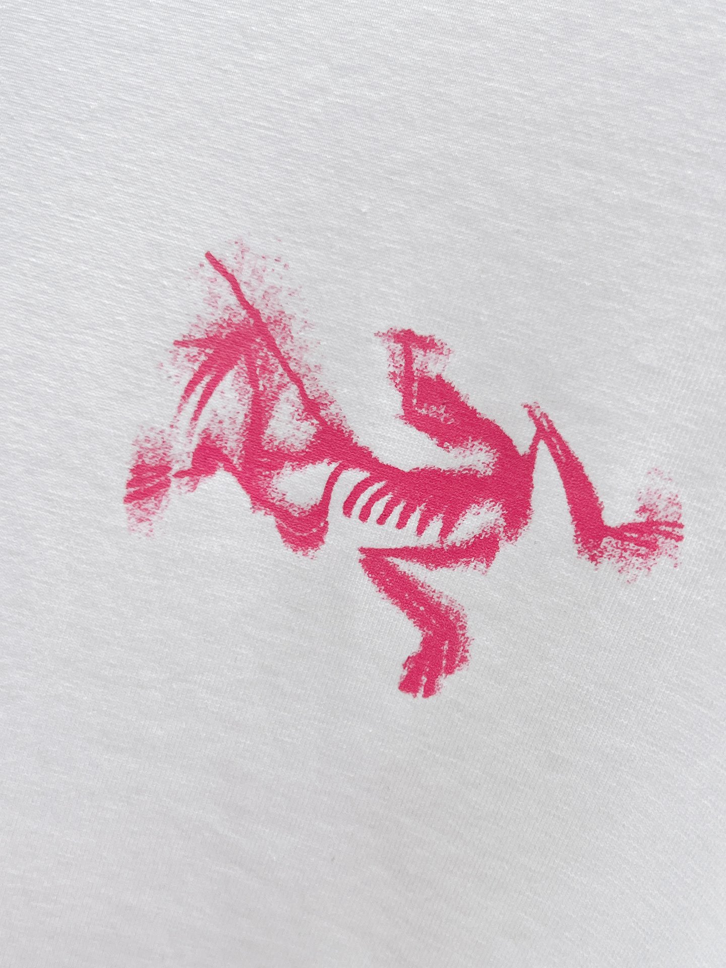 Arc'teryx  T恤服装 5