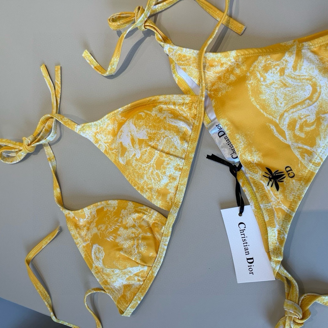 。
Dior迪奥经典比基尼👙❤️😍🥰适合多种场景的游泳衣🏊‍♀️海边 游泳池 温泉 水上乐园 漂流都可以