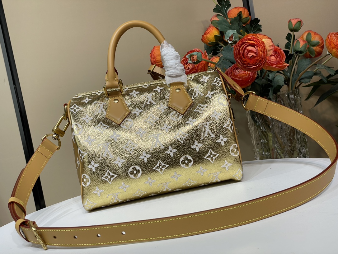 Louis Vuitton SPEEDY 手袋lv,包 3