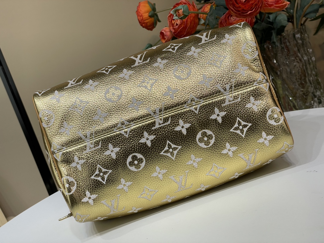 Louis Vuitton SPEEDY 手袋lv,包 5