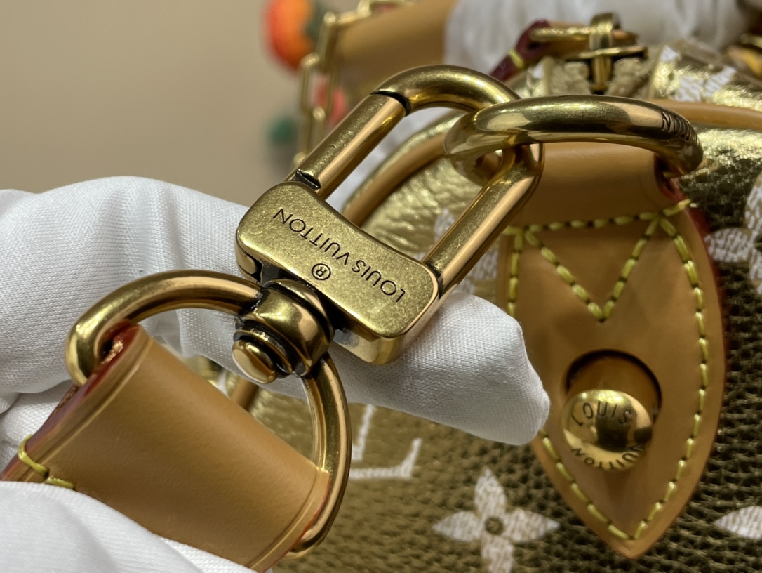 Louis Vuitton SPEEDY 手袋lv,包 7