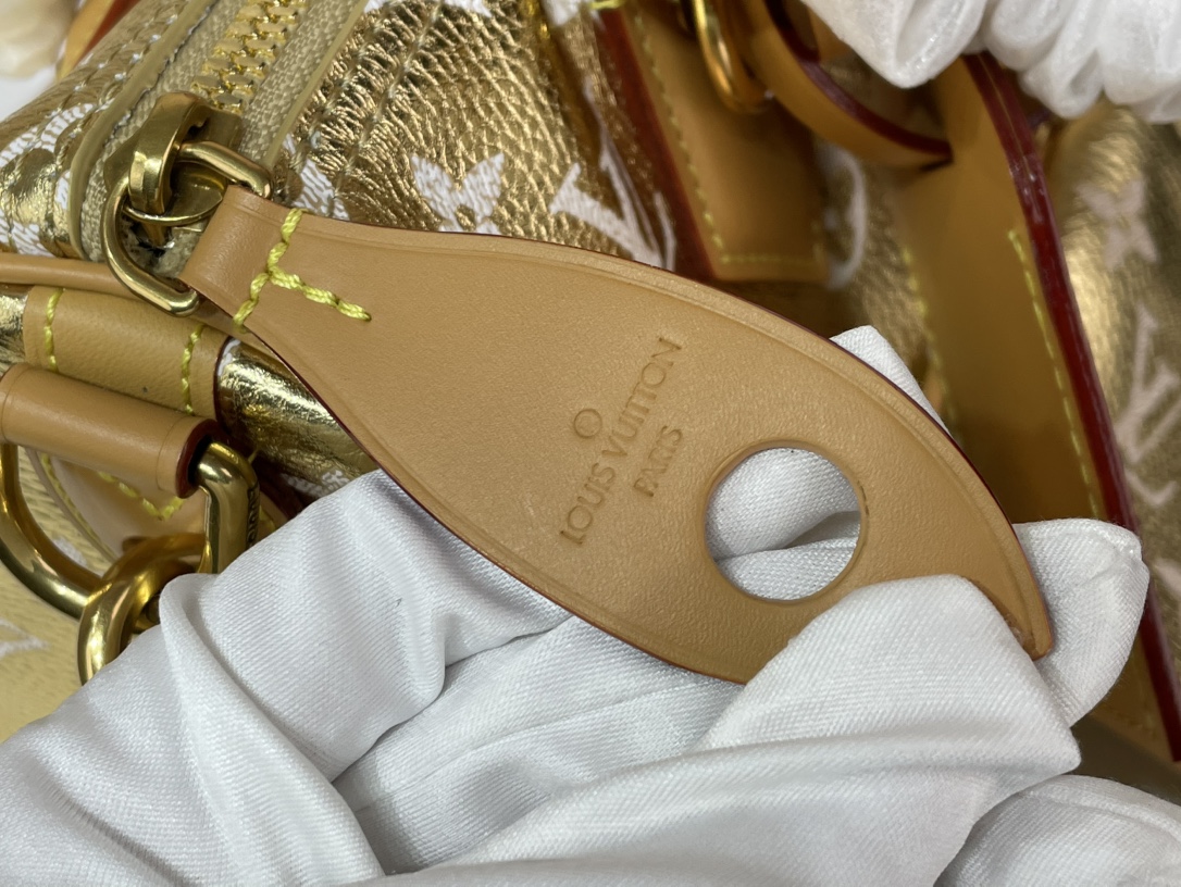 Louis Vuitton SPEEDY 手袋lv,包 8