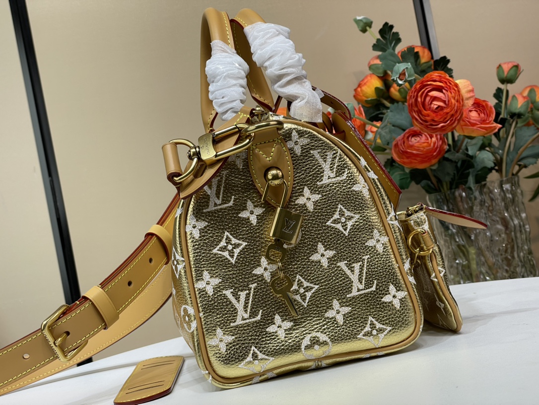 Louis Vuitton SPEEDY 手袋lv,包 2
