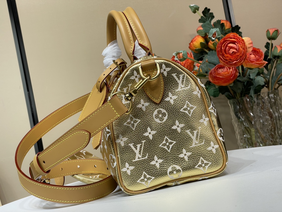 Louis Vuitton SPEEDY 手袋lv,包 4
