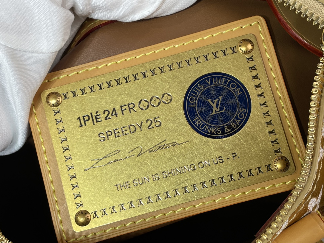 Hermès SPEEDY 手袋lv,包 4