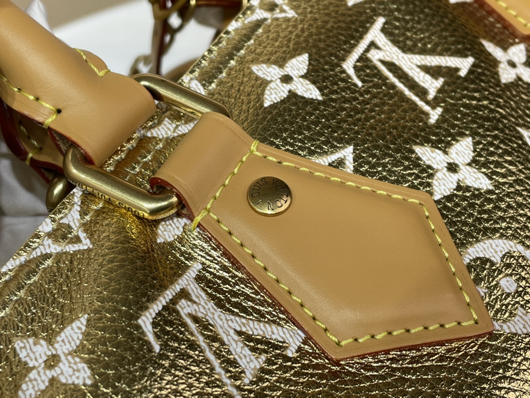 Hermès SPEEDY 手袋lv,包 2