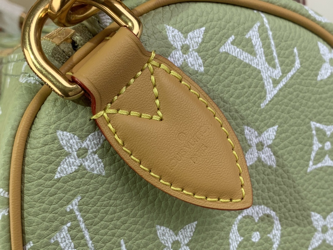 【SPEEDY BANDOULIÈRE25 手袋 】M24437 M13912 M24440果绿色本款