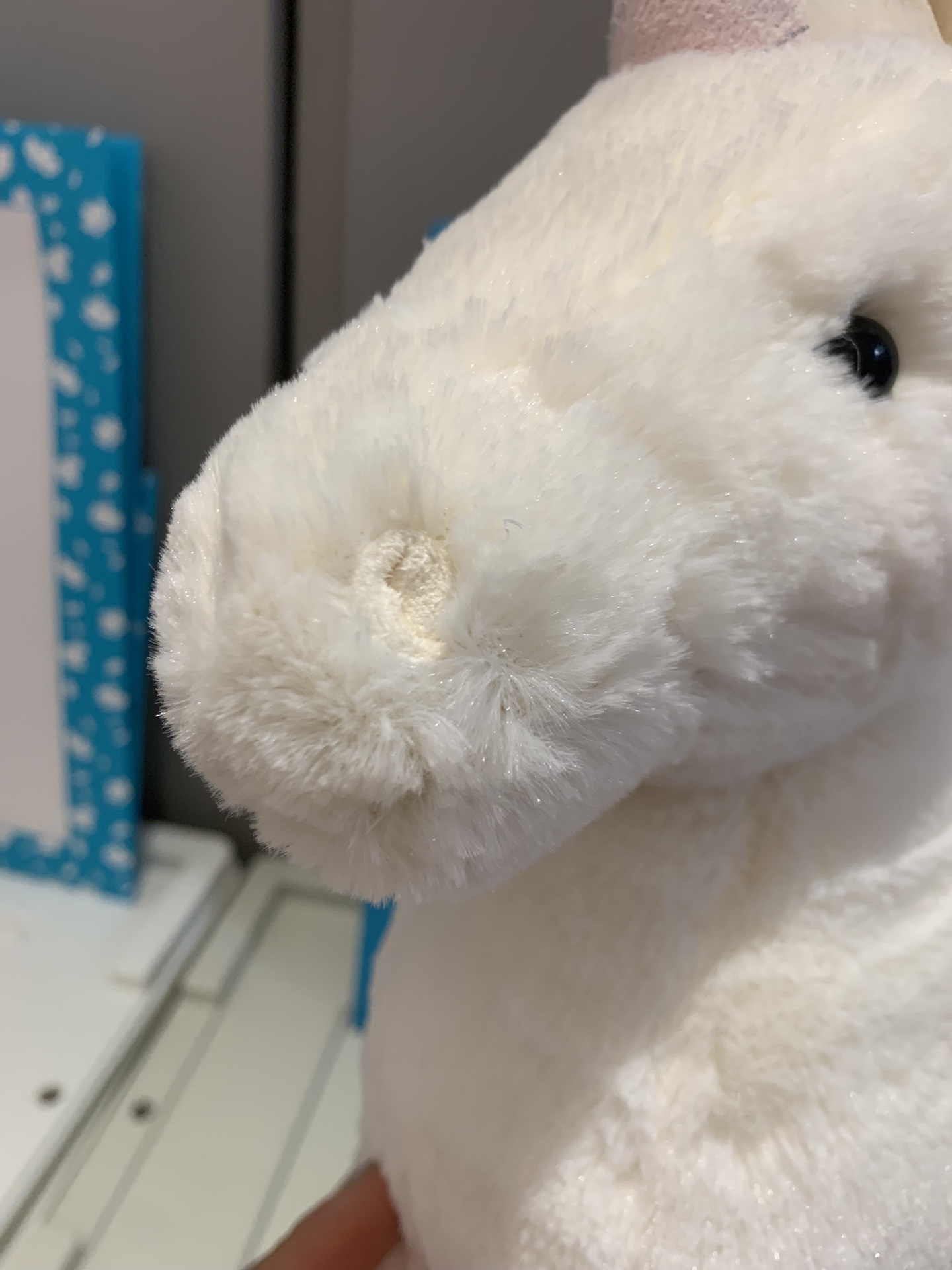 NO:809531,Details/, trendy department store Jellycat doll19860909细节/,潮品百货Jellycat公仔,accessory