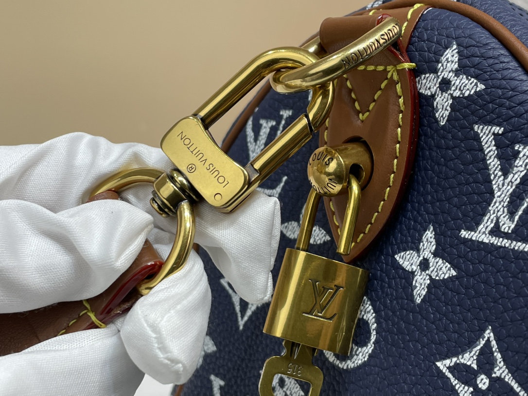 Louis Vuitton Speedy 手袋lv,包 6