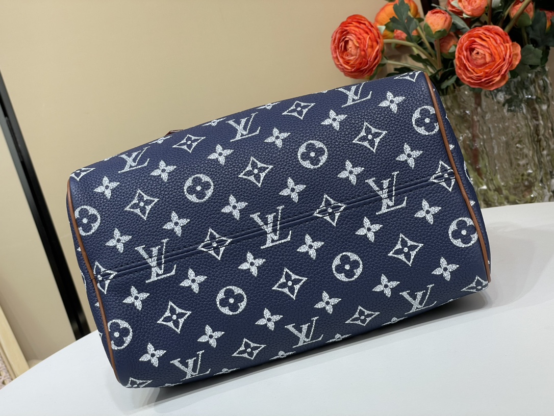 Louis Vuitton Speedy 手袋lv,包 4