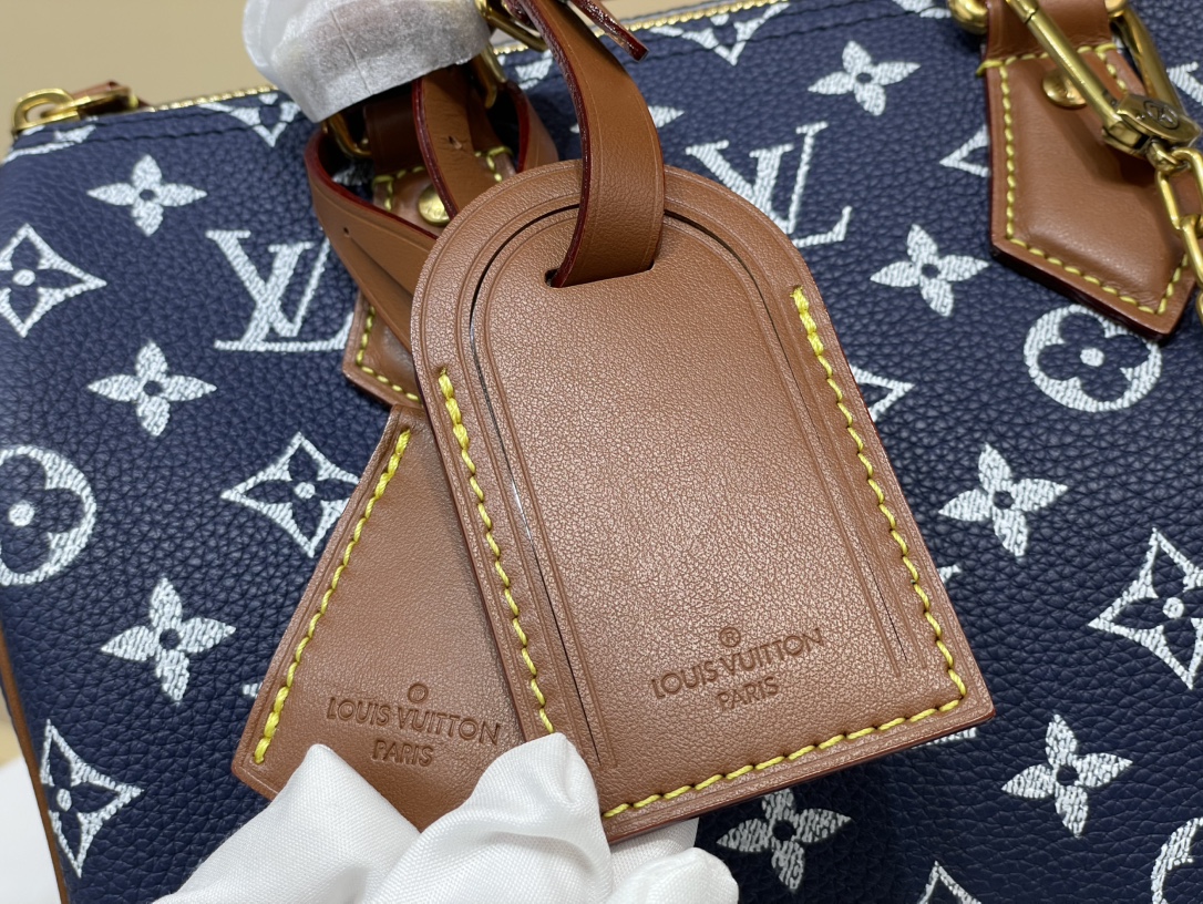 Louis Vuitton Speedy 手袋lv,包 5