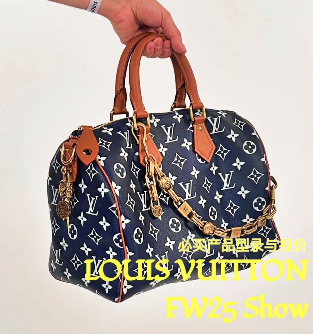 Hermès SPEEDY 手袋lv,包 2