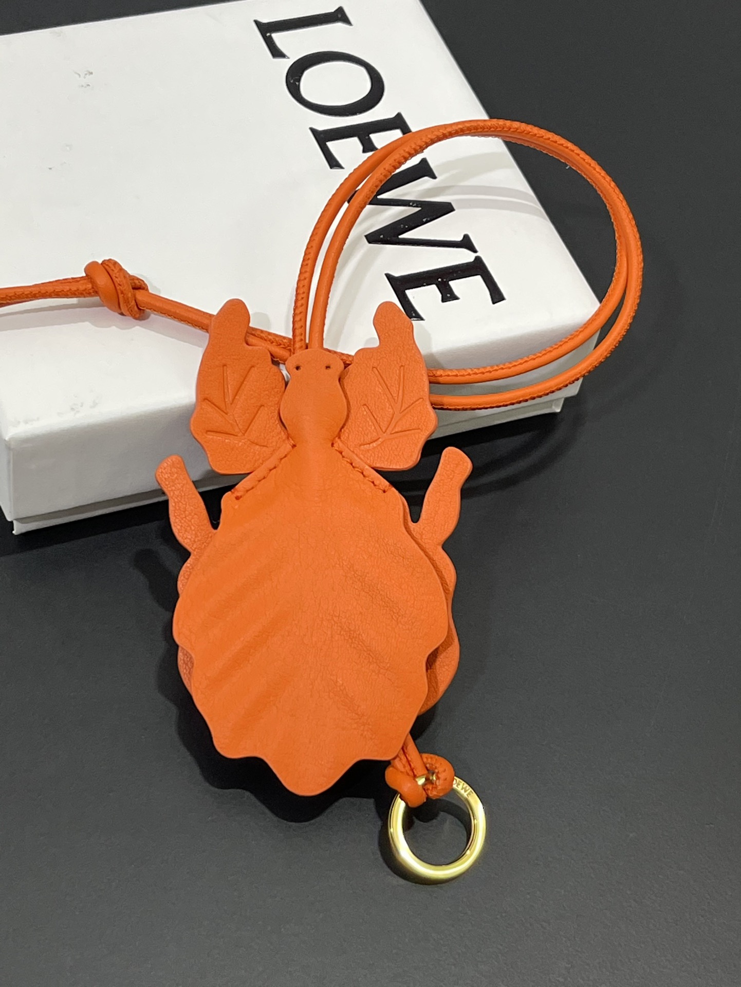NO:671949,Vegetable leaf insect keychain pendant, made of calfskin, equipped with a loop cord and key ring, can be hung around the neck or used as a bag, style number 352, size 45 (including rope and bag body) 6, Loewe wallet, loewe, wallets, keychain, cowhide19860909蔬菜叶虫钥匙扣挂饰 采用小牛皮 配有环带绳和钥匙圈 可挂脖子,可当包挂 款号352,尺寸45（包括绳子和包身）6,罗意威钱包,loewe,wallets,keychain,cowhide,欧美剧