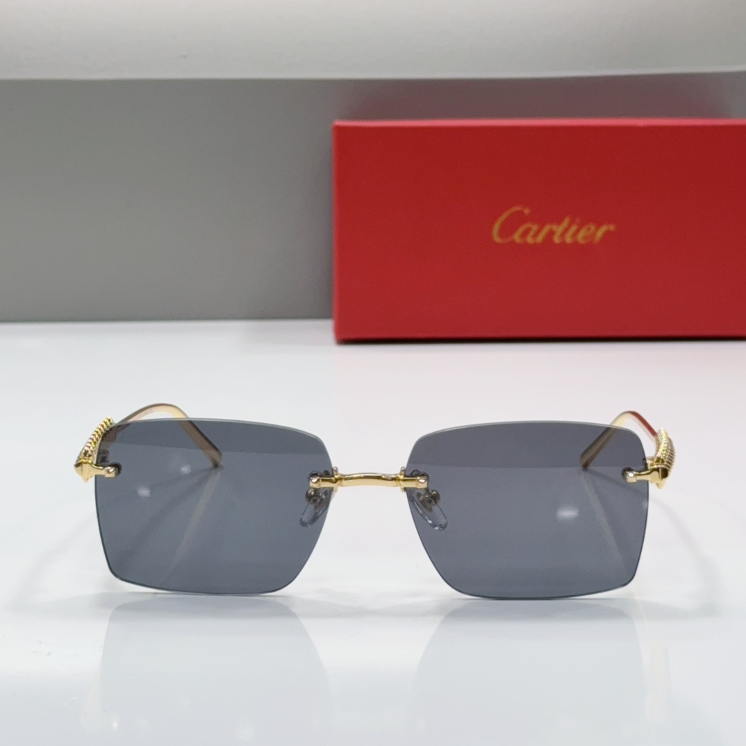 Cartier Rimless Metal Rectangular Sunglasses