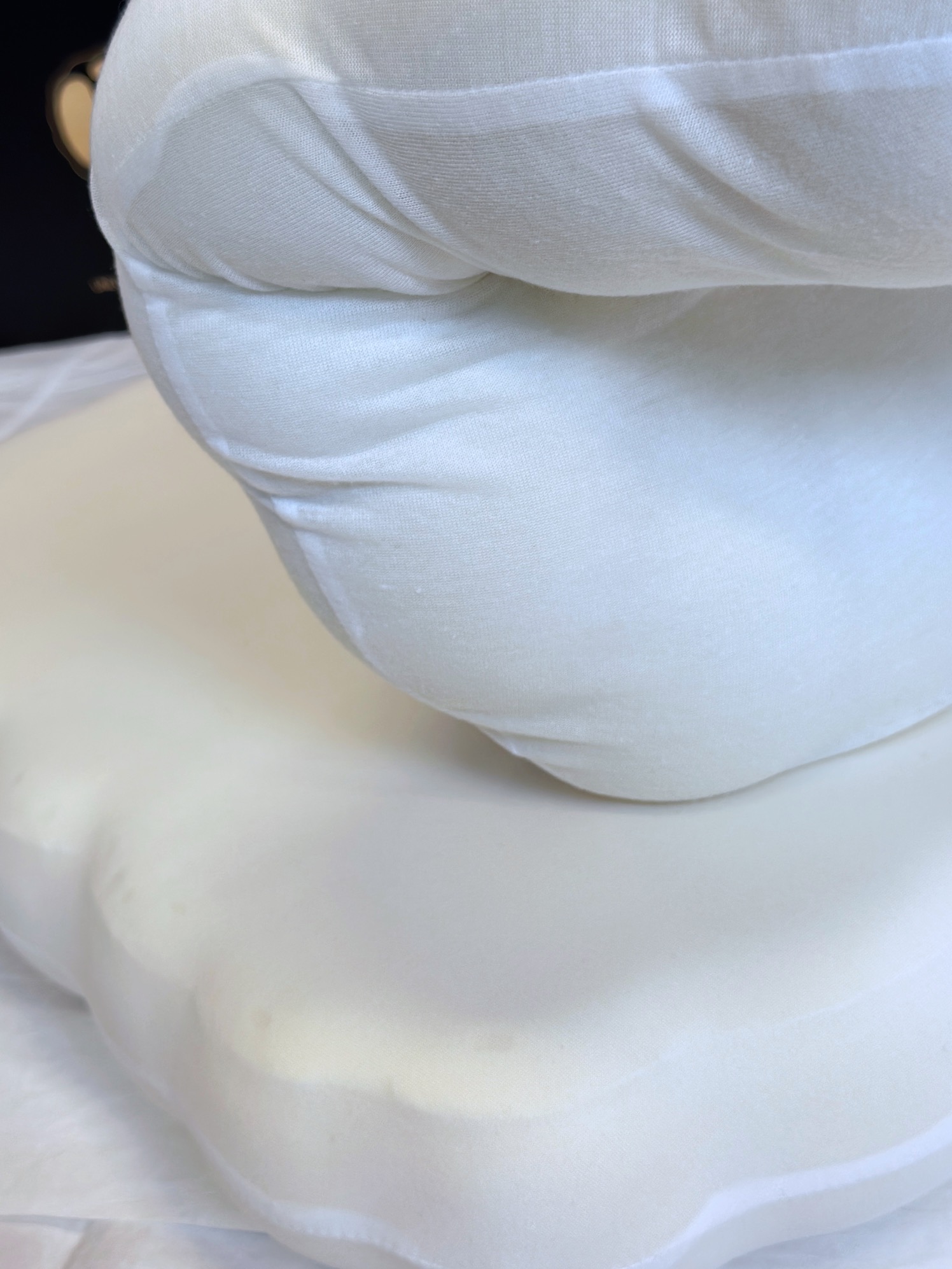 Engineered to deliver plush yet resilient support, this pillow core main - Comprehensive 5