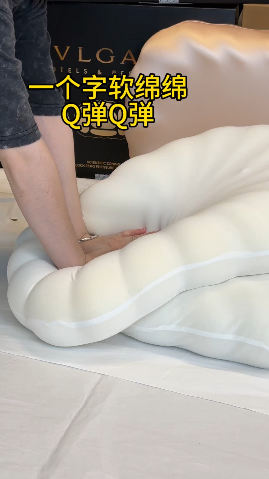 Bulgari Hotel Sleep Pillow, featuring an ultra-soft plush texture with - Comprehensive