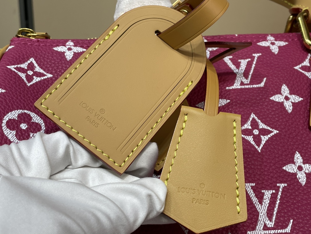 Louis Vuitton Speedy 手袋lv,包 5