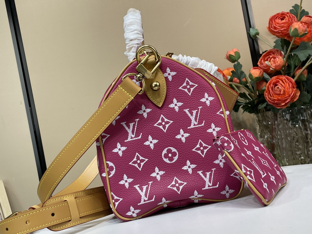 Louis Vuitton Speedy 手袋lv,包 2