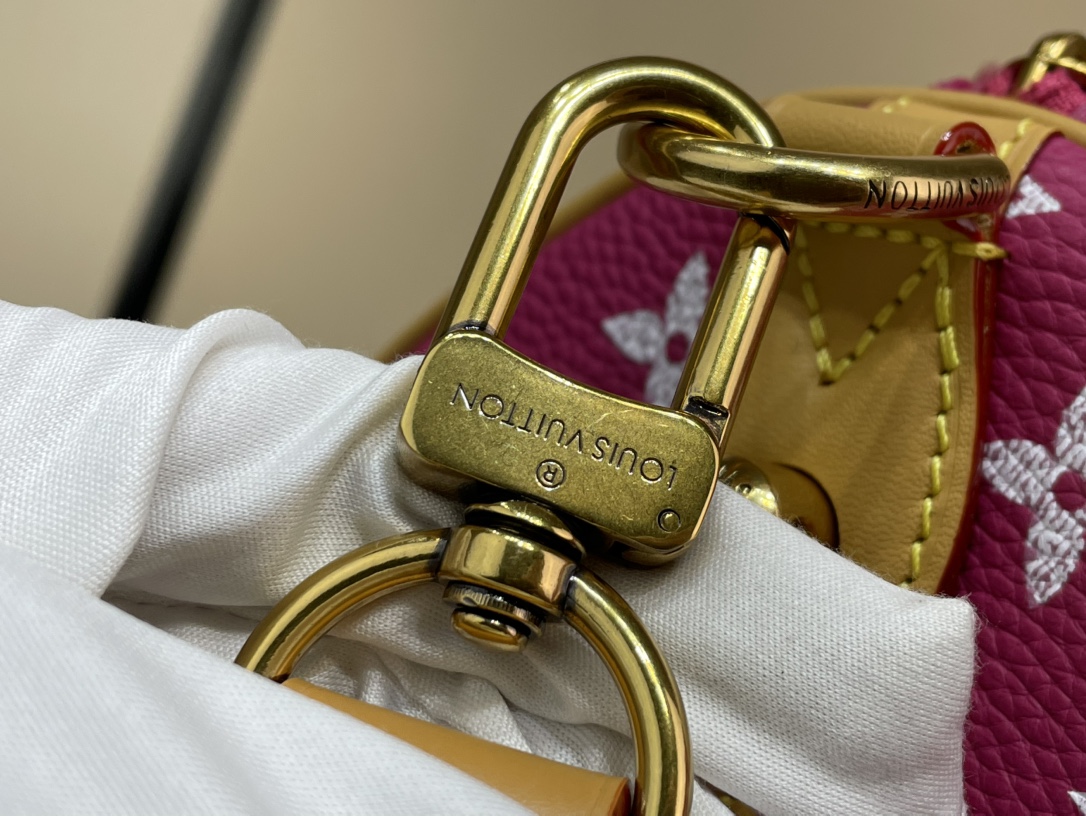 Louis Vuitton Speedy 手袋lv,包 6