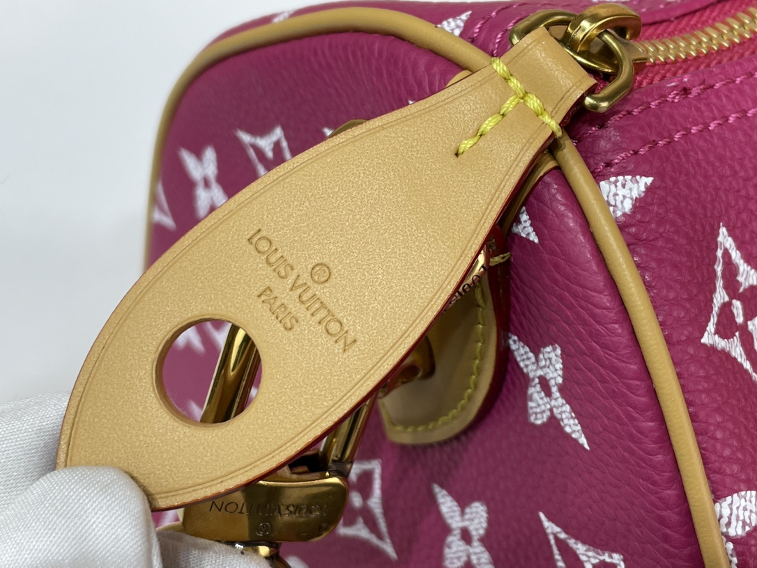 Louis Vuitton Speedy 手袋lv,包 8
