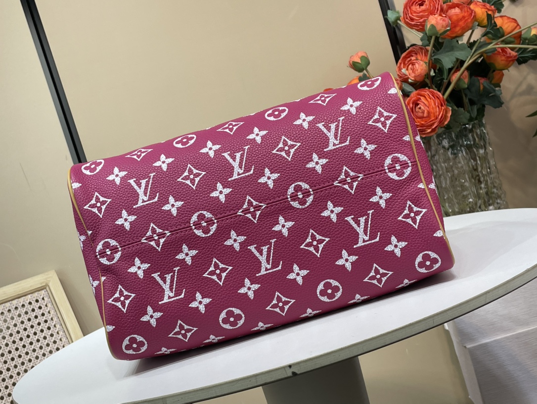 Louis Vuitton Speedy 手袋lv,包 4