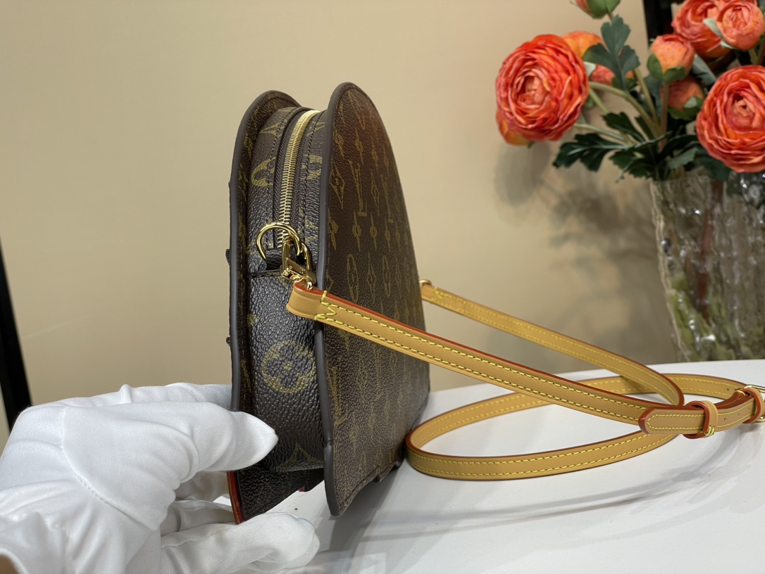 Louis Vuitton Fan 手袋lv,包 4