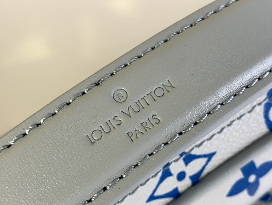 Louis Vuitton Monogram Archive 手袋lv,包 5