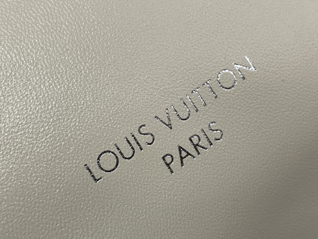 Louis Vuitton 2024秋冬系列 手袋lv,包 6