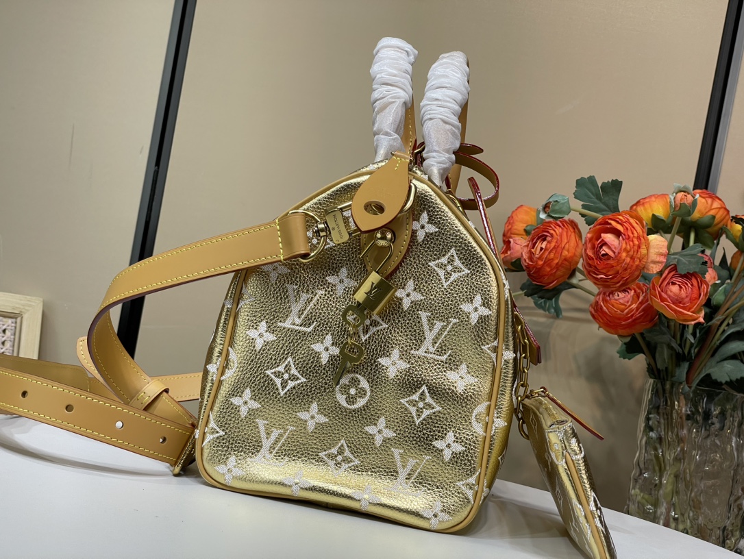 Louis Vuitton Speedy 手袋lv,包 2