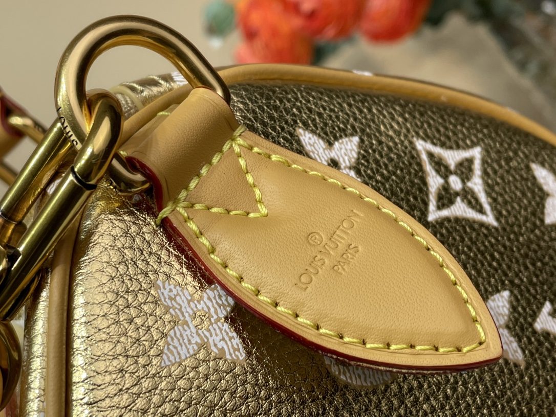 Louis Vuitton Speedy 手袋lv,包 7