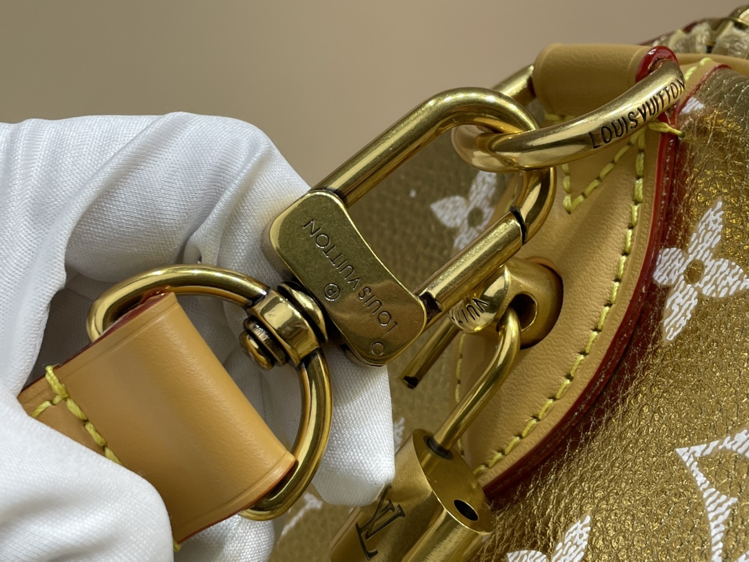 Louis Vuitton Speedy 手袋lv,包 5