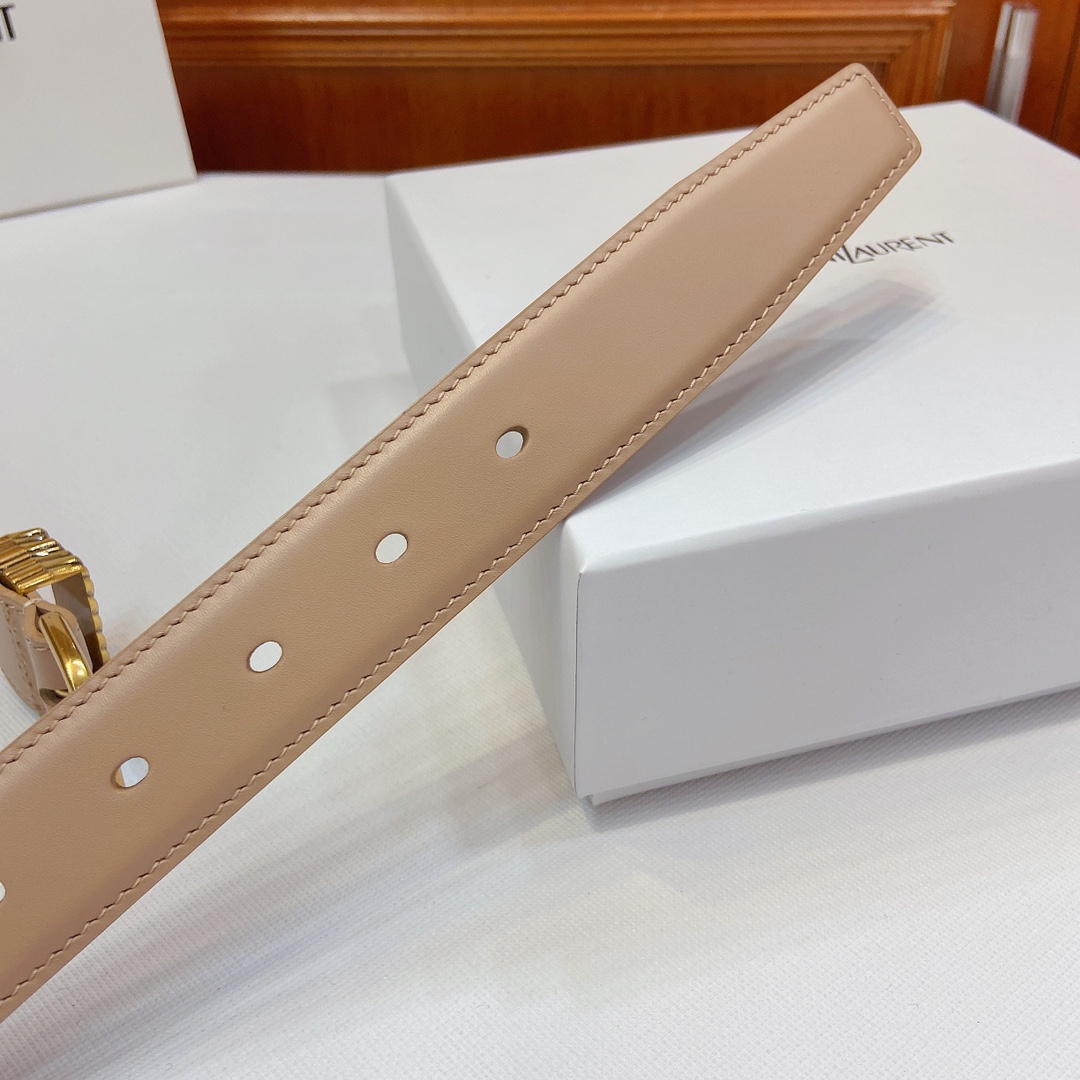 Metallic Claustro-Colored Belt from SAINT LAURENT PARIS with Metal Fold Detail - 图片 6