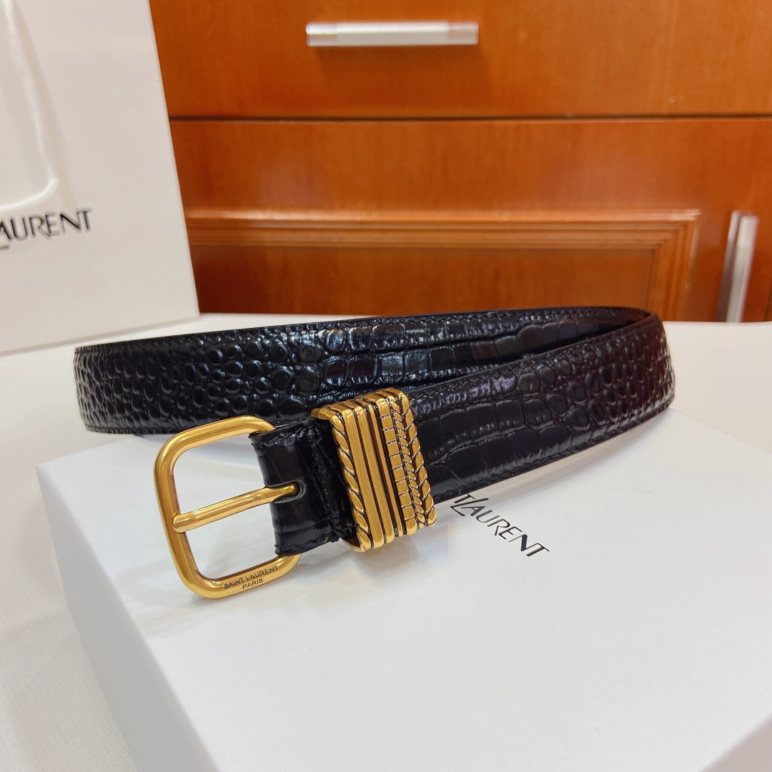 San Roland YSL Claustro-Coloured Metal Belt Purchase with SAINT LAURENT PARIS Sign - 图片 4
