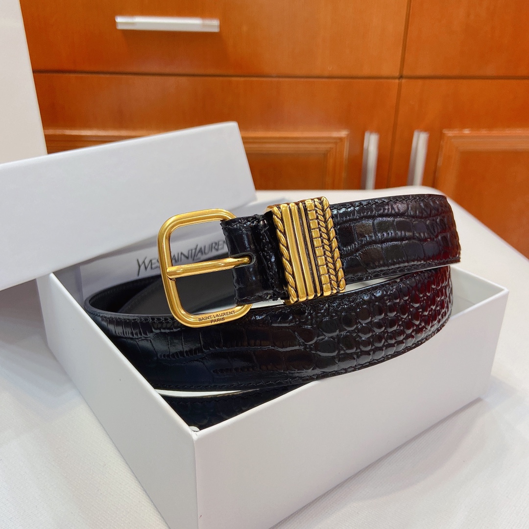 San Roland YSL Claustro-Coloured Metal Belt Purchase with SAINT LAURENT PARIS Sign - 图片 5