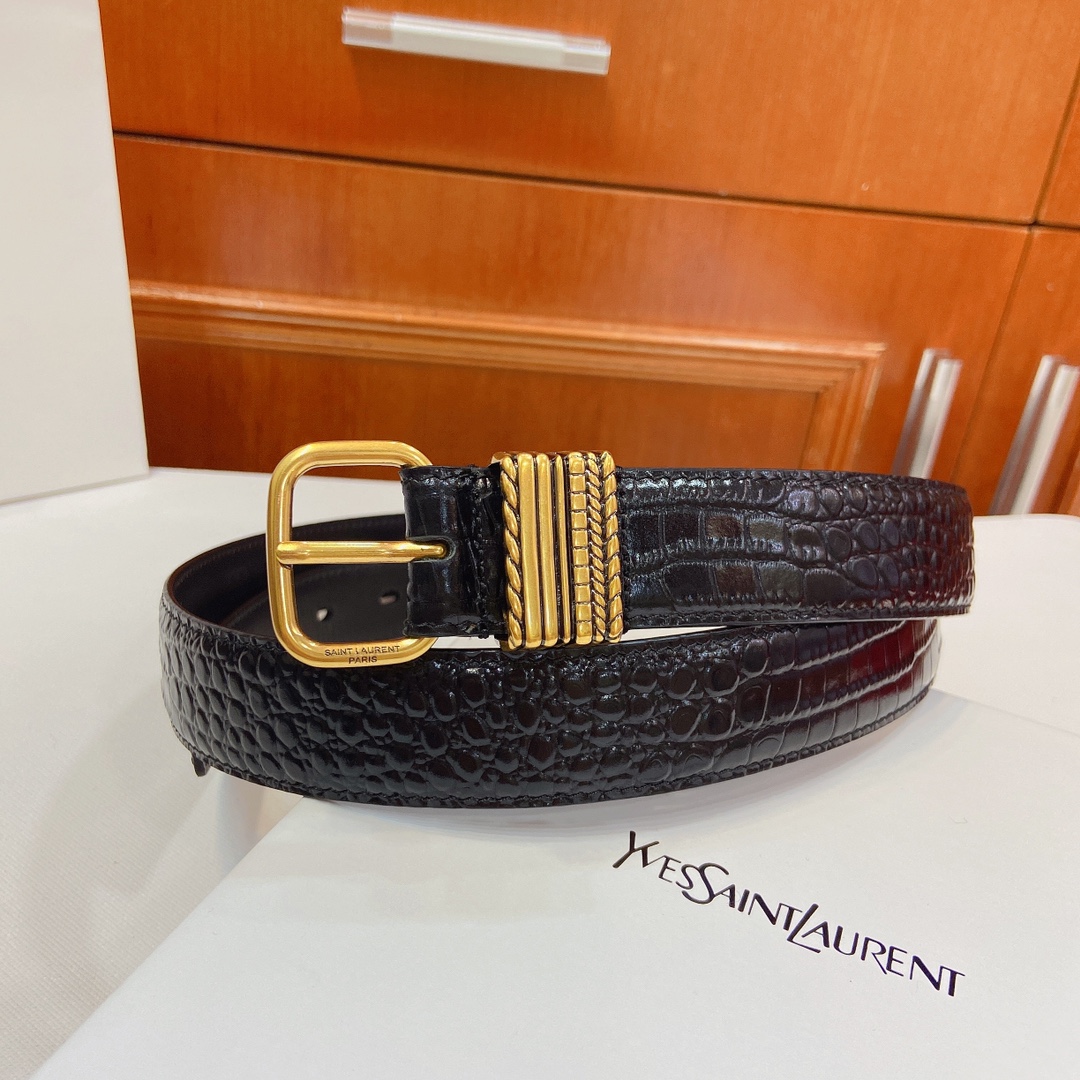 San Roland YSL Claustro-Coloured Metal Belt Purchase with SAINT LAURENT PARIS Sign - 图片 3
