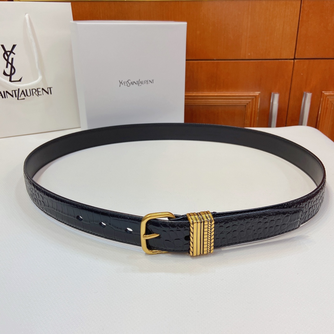 San Roland YSL Claustro-Coloured Metal Belt Purchase with SAINT LAURENT PARIS Sign - 图片 1