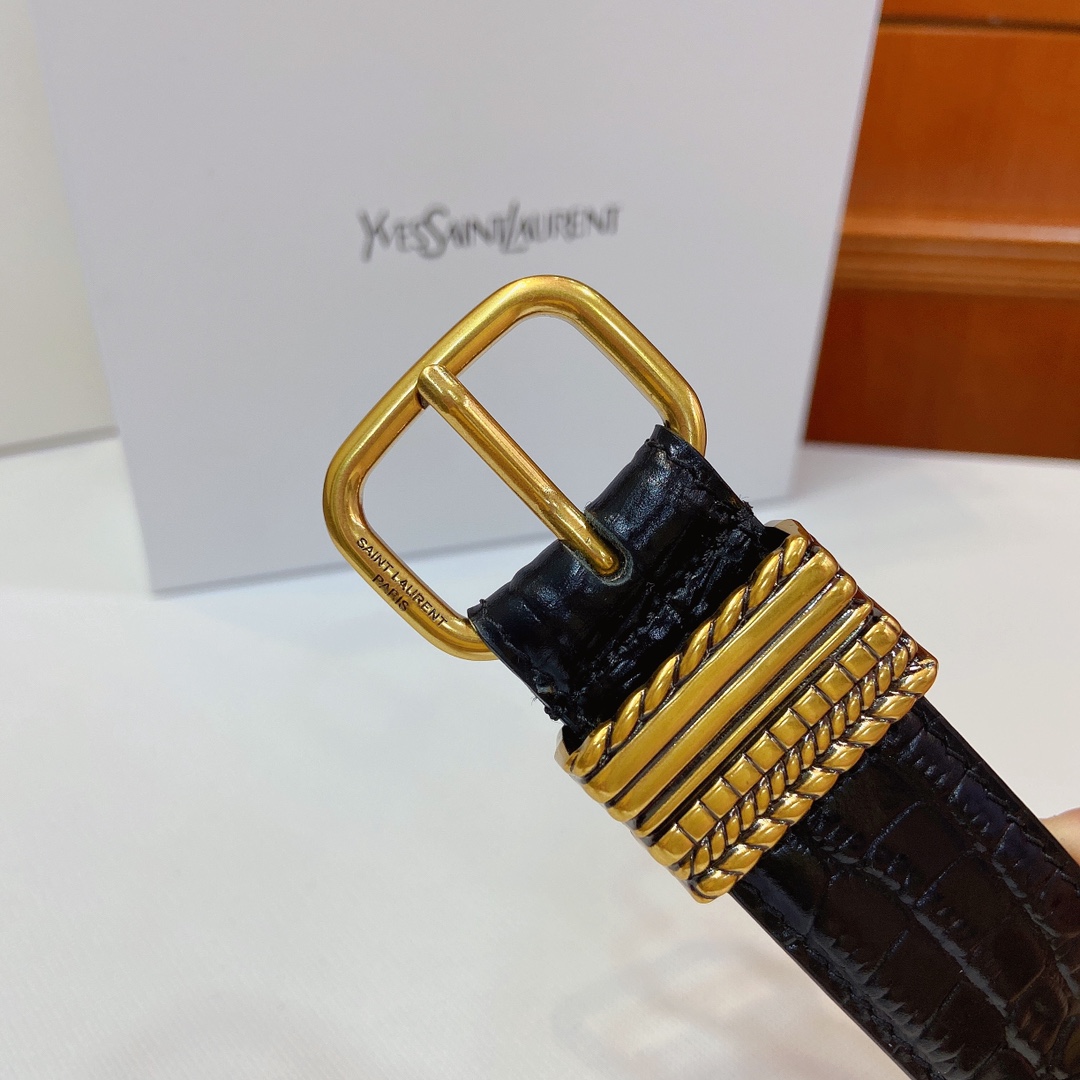 San Roland YSL Claustro-Coloured Metal Belt Purchase with SAINT LAURENT PARIS Sign - 图片 2