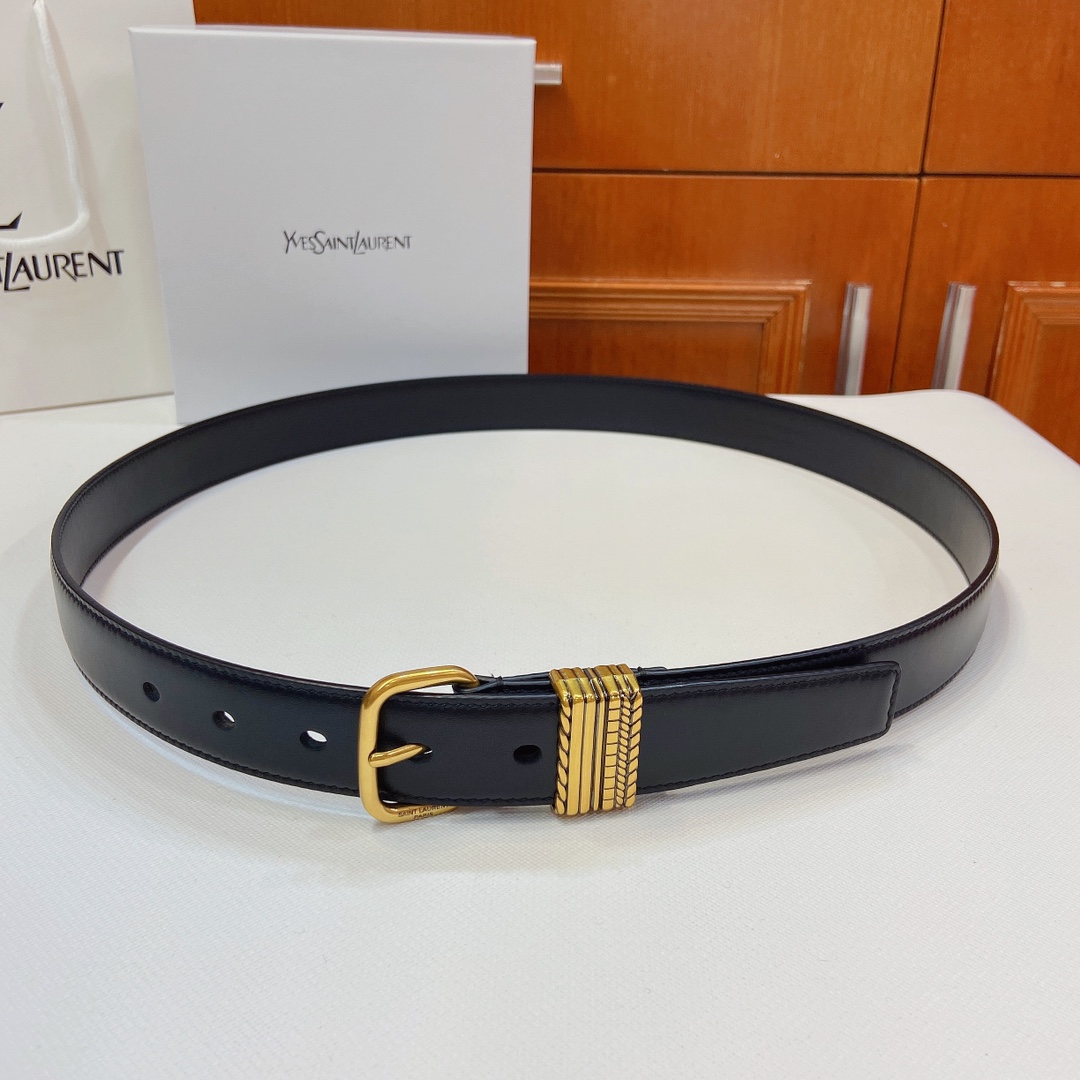 Saint Laurent Paris Metal Belt: Claustro-Colored, 3cm Wide, San Roland YSL Design.