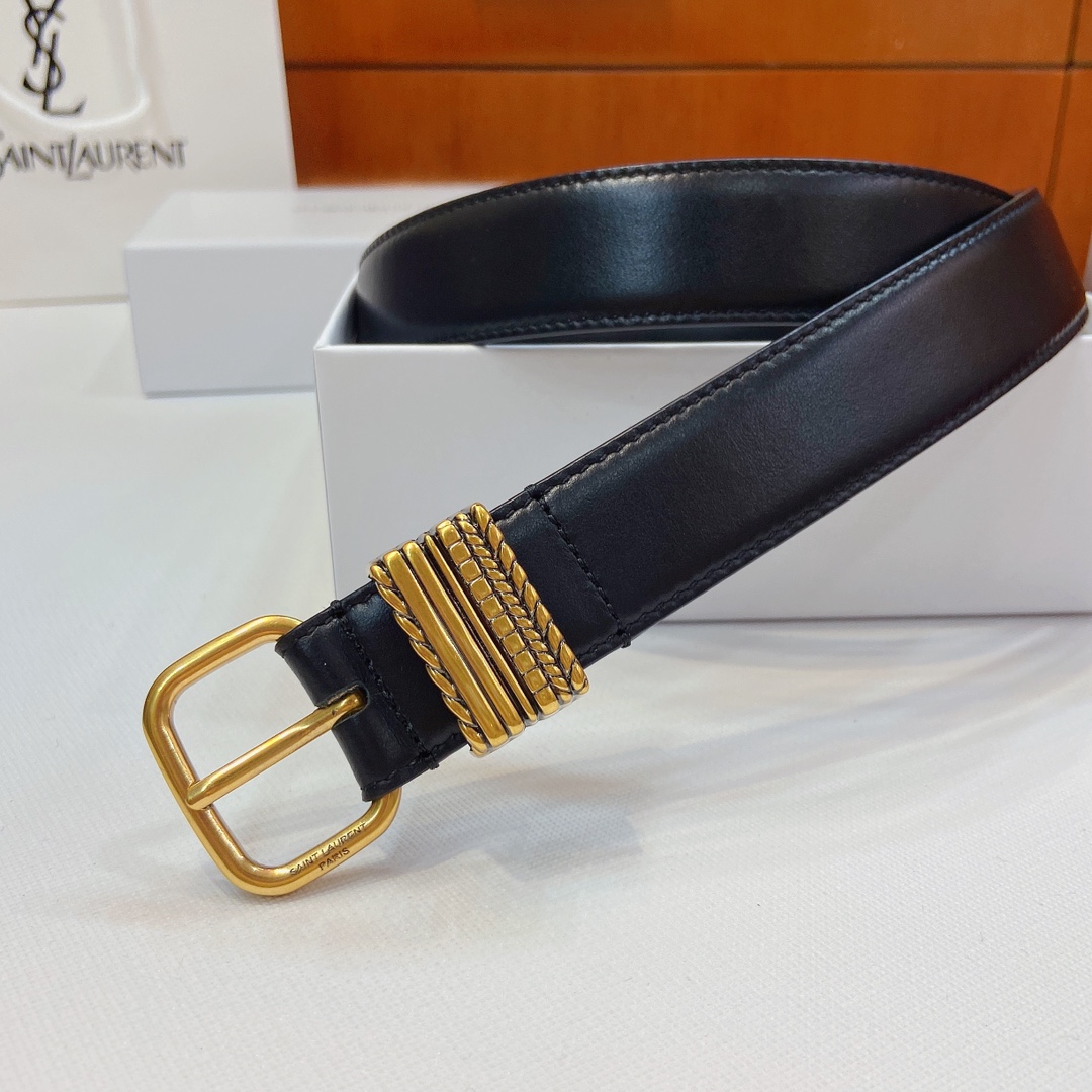 Saint Laurent Paris Metal Belt: Claustro-Colored, 3cm Wide, San Roland YSL Design. - 图片 5