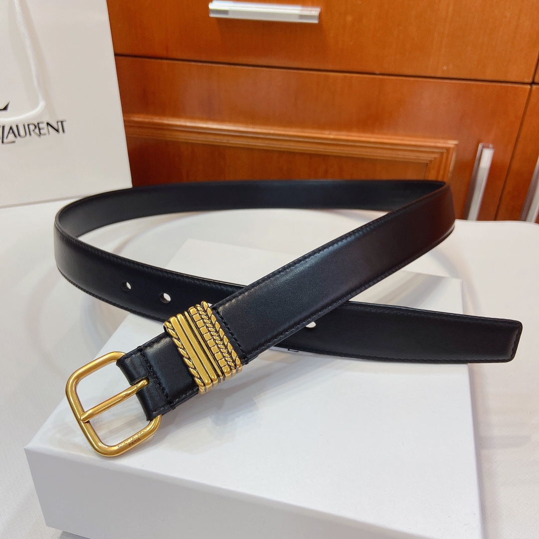 Saint Laurent Paris Metal Belt: Claustro-Colored, 3cm Wide, San Roland YSL Design. - 图片 3