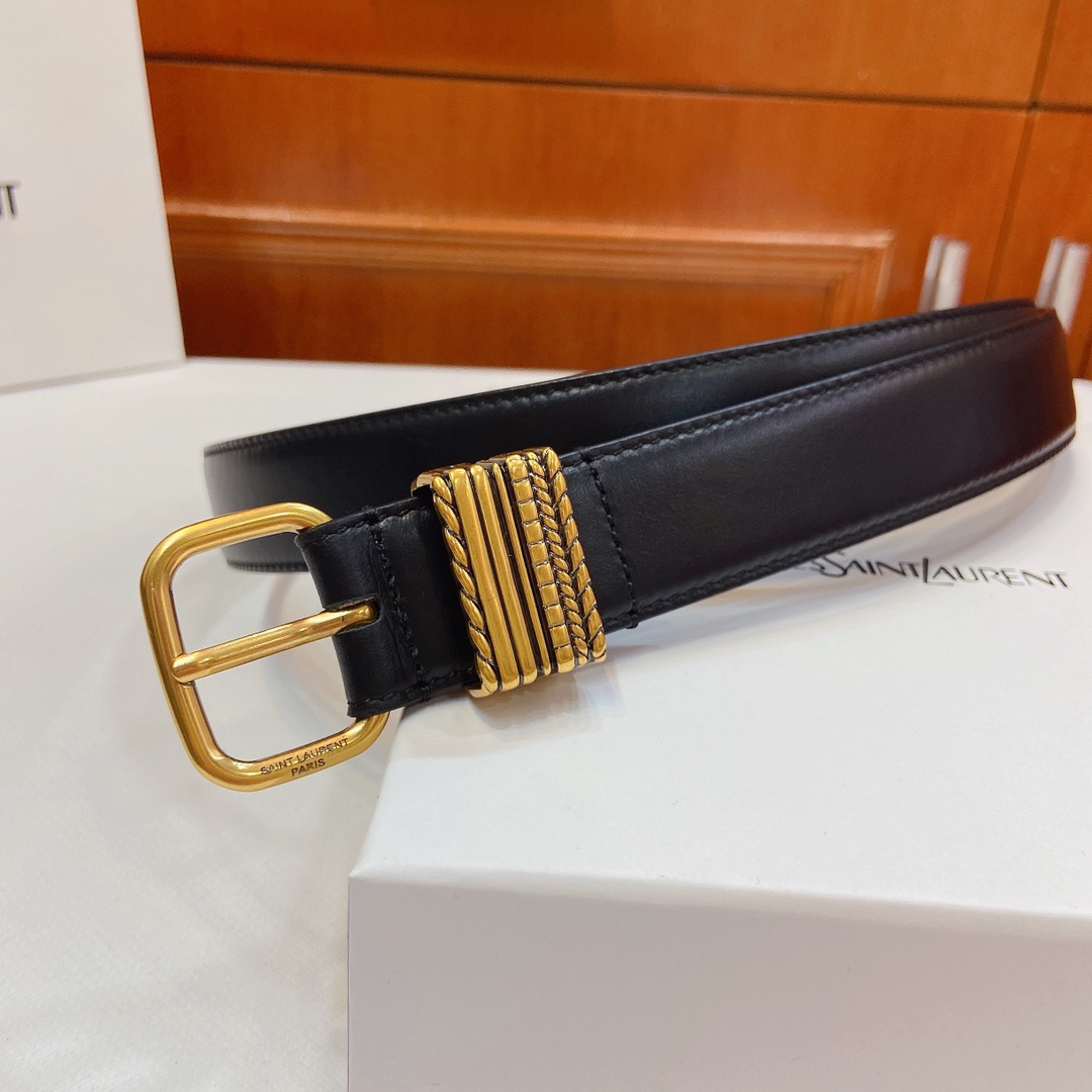 Saint Laurent Paris Metal Belt: Claustro-Colored, 3cm Wide, San Roland YSL Design. - 图片 4