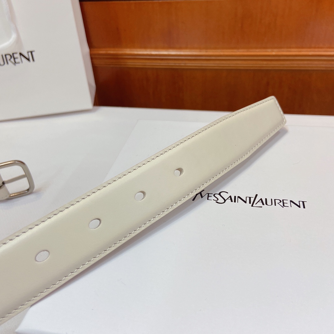 Saint Laurent Paris Metal Belt with Claustro-Coloured Finish, 3cm Width, SAINT LAURENT PARIS Sign - 图片 5