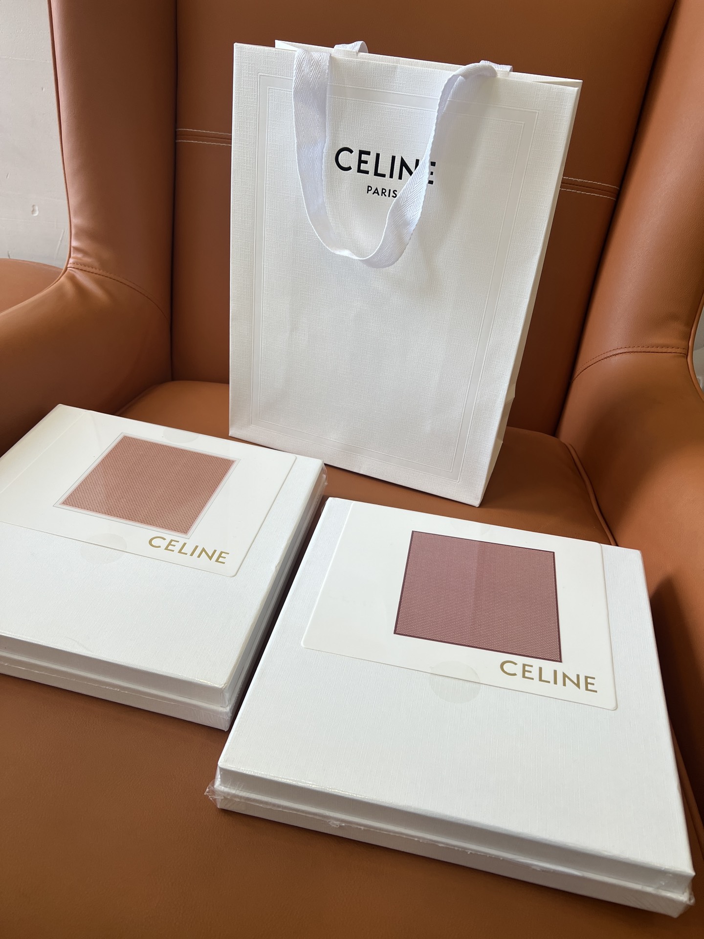 [Celine Scarves]