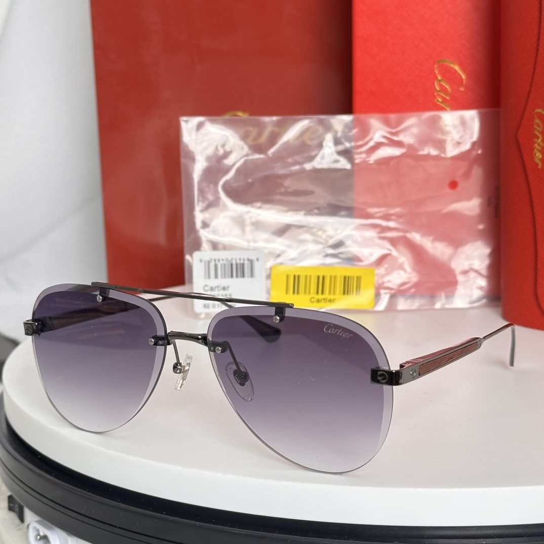 Cartier Sunglasses Metal Rimless Aviator