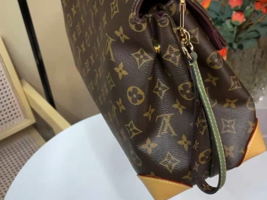 【HIDE AWAY 中号手袋 】 m14473 老花/单肩 小视频