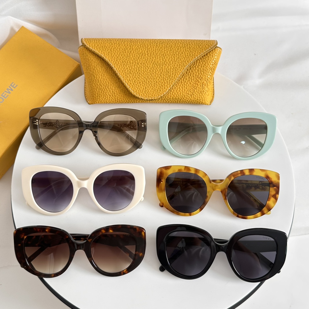  ‼️ 模特图 LOEWE🌟🌟🌟MODEL：LW 🌟🌟🌟SIZE：50口22-145🌟🌟🌟